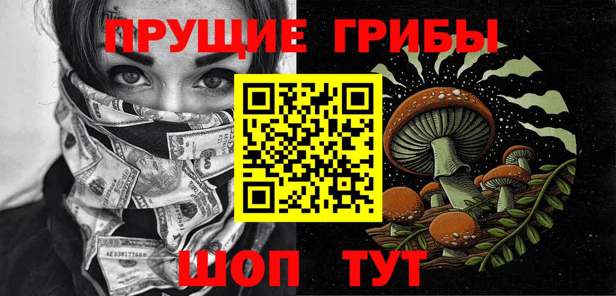 Псилоцибиновые грибы MAGIC MUSHROOMS  Вход с VPN  Белая Калитва 